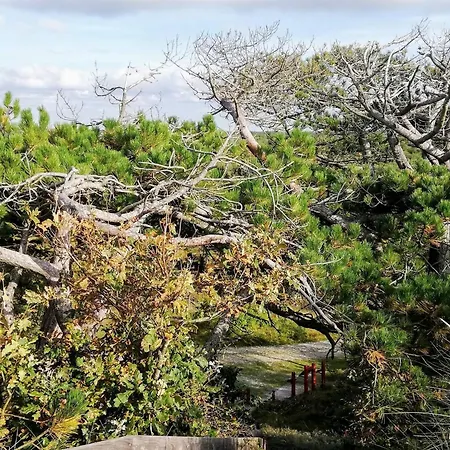 6 Person In Ulfborg-by Traum 度假居 乌尔夫堡