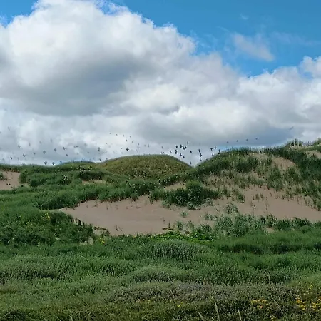 6 Person In Ulfborg-by Traum