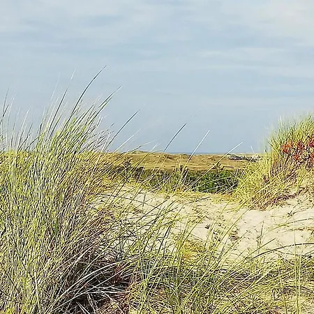 6 Person In Ulfborg-by Traum Holiday home *