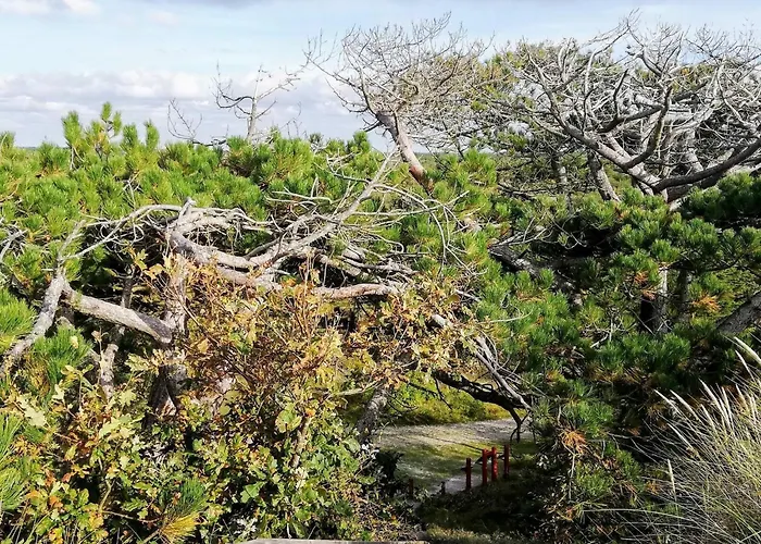 6 Person In Ulfborg-by Traum 度假居 乌尔夫堡