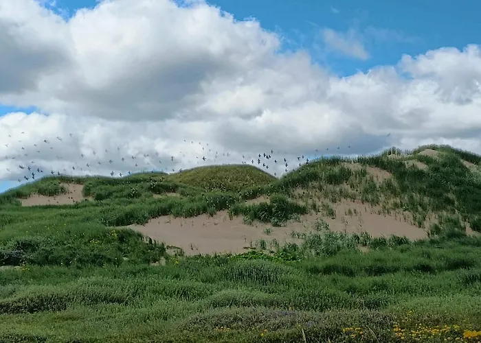 6 Person In Ulfborg-by Traum