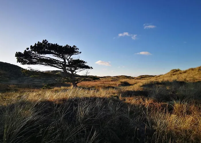 6 Person In Ulfborg-by Traum